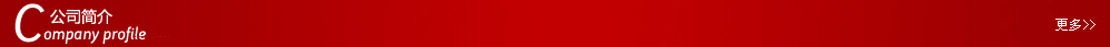 公司简介